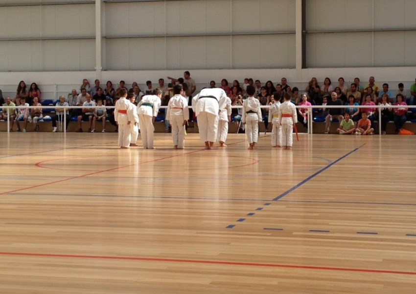 <i>Participação da classe de Karate no Sarau anual © por GRCP Casal do Rato</a></i>
